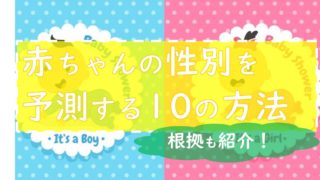 初めてのたまごクラブはいつ買うべき 実際に読んでみた感想 レビュー